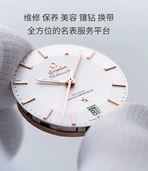 维修芝柏